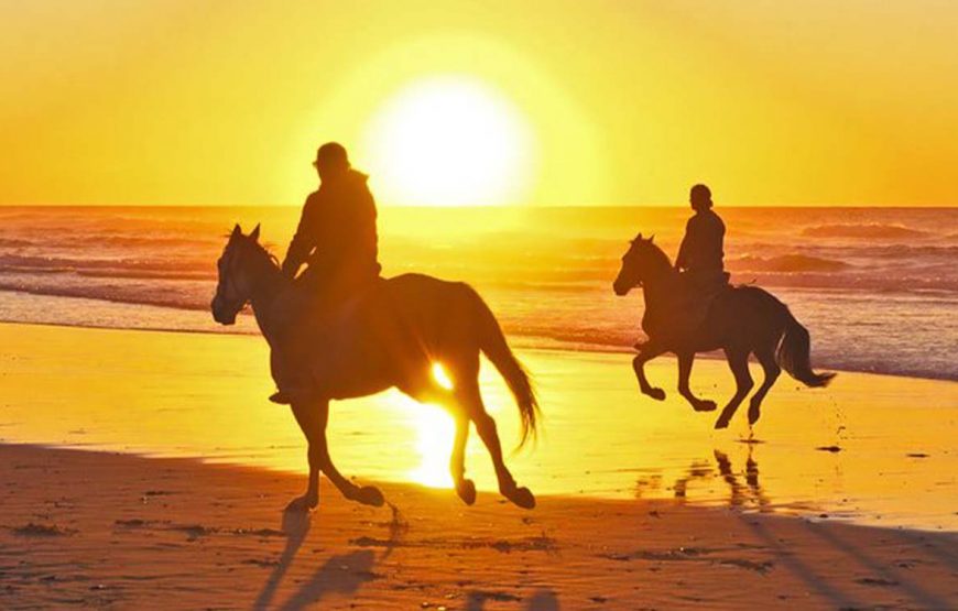 Верховая езда